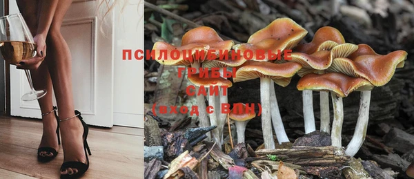 скорость Абинск