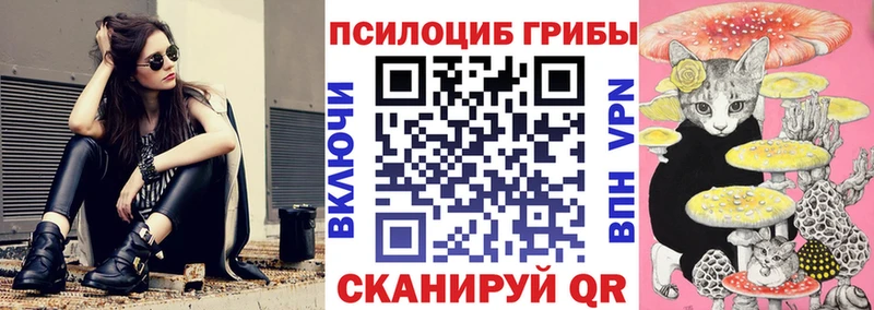 Псилоцибиновые грибы Psilocybine cubensis  купить наркотик  Иркутск 